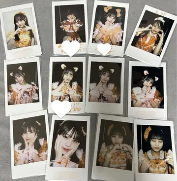 매일 매일 폴라로이드 란폴라로이드