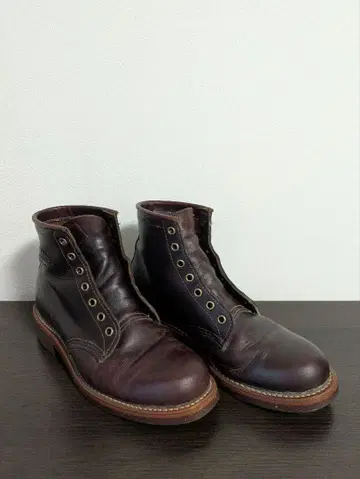 치페와 CHIPPEWA 치페와 1901M25