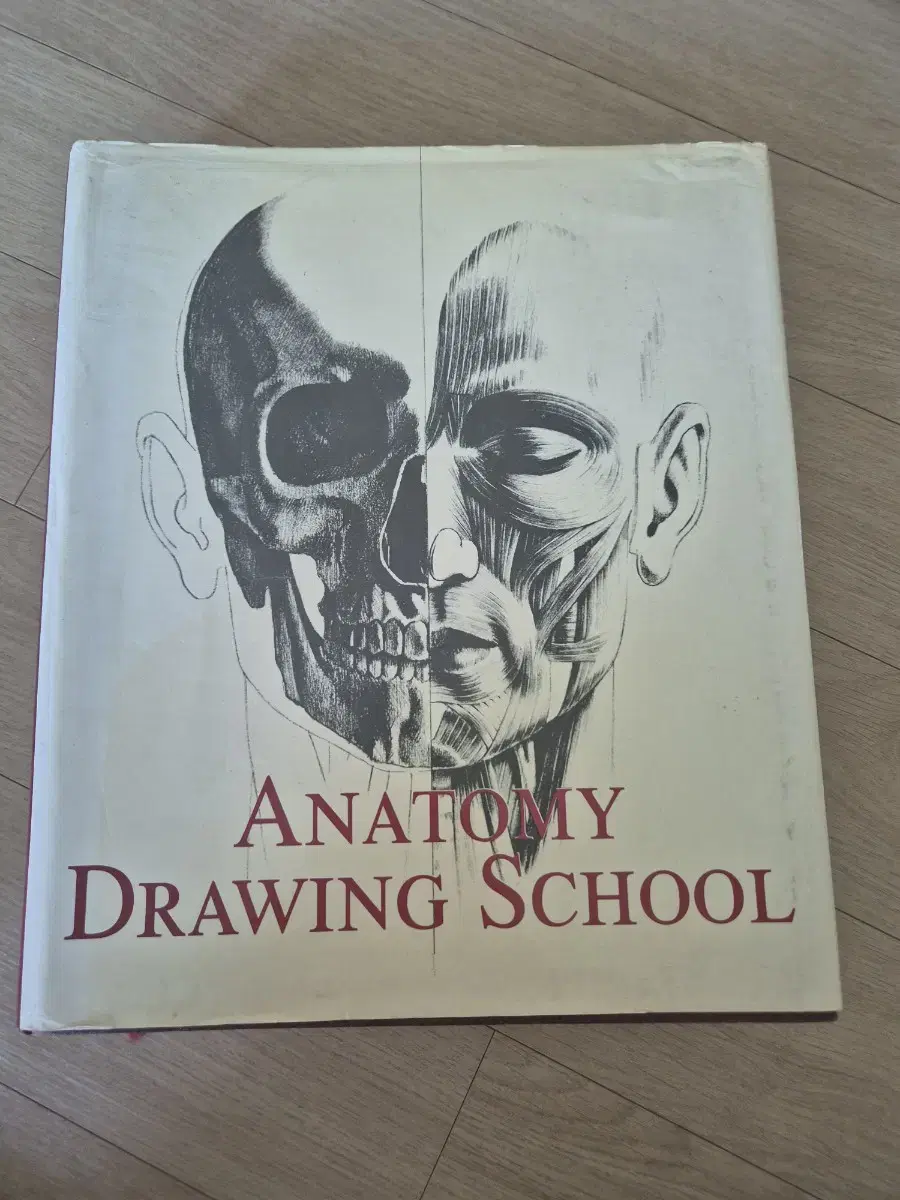 Anatomy School anatomy drawing school original text