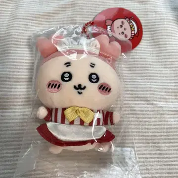 치이카와 치이카와 레스토랑 홀 담당 마스코트 헌책방