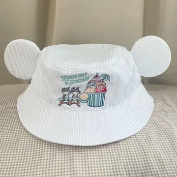 디즈니 써니 써니 썸머 햇 칩 & 데일 58cm