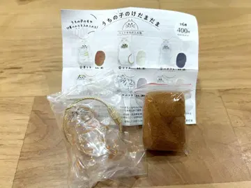 우리 아이의 털뭉치, 브라운