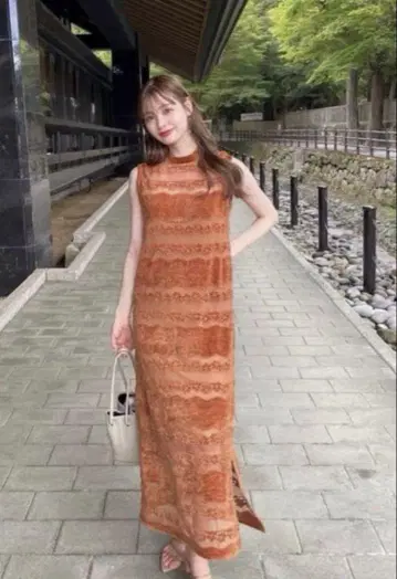 아메리 벨루어 레이스 노 슬리브 드레스
