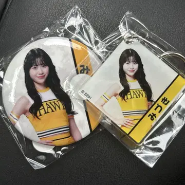 미즈키 아크릴 키링 캔뱃지 2종 허니즈 honeys 와카타카 가챠