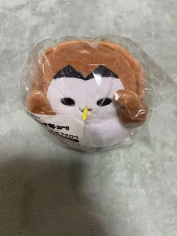 하이큐 다루누이 빨간색 갈대