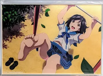 HOBBY STOCK 비주얼 아크릴 플레이트 히메 히라기 유키나