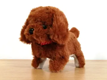 토코토코 산책 강아지 토이 푸들