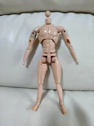 원형