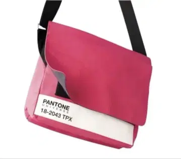 PANTONE 18-2043 TPX 메신저 백