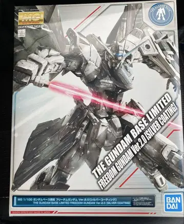 MG 프리덤 건담 Ver 2.0 실버 코팅