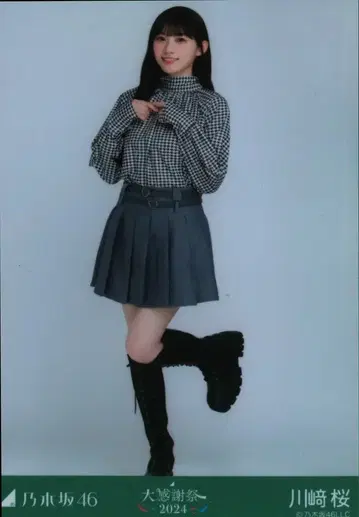 노기자카46 대감사제 2024 카와사키 사쿠라 하운드투스 체크 히키