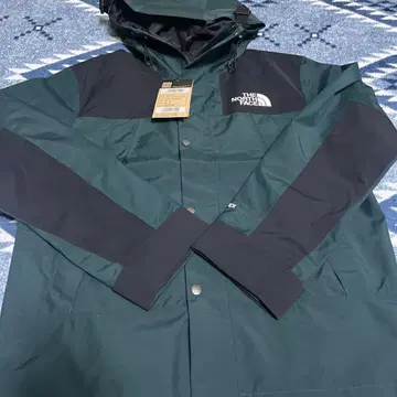 노스페이스 M'S GTX MOUNTAIN JACKET