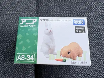단종 아니아 토끼