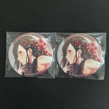 프로세카 시로이시 안