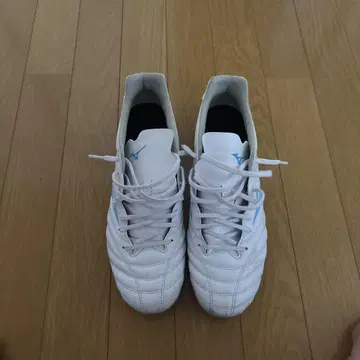 모나르시다 네오 3 프로