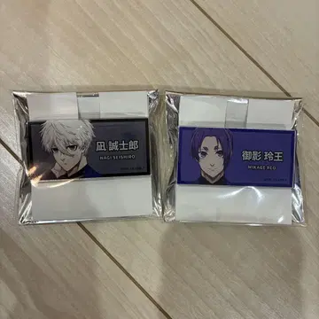 블루 록 전 트레이딩 네임 배지 나기 세이시로, 미카게 레오