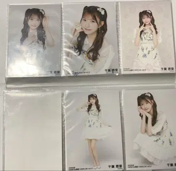 AKB48 4월 랜덤 브로마이드 치바 에리 컴프