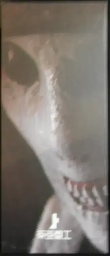 센치네 대 세키무 + 사이