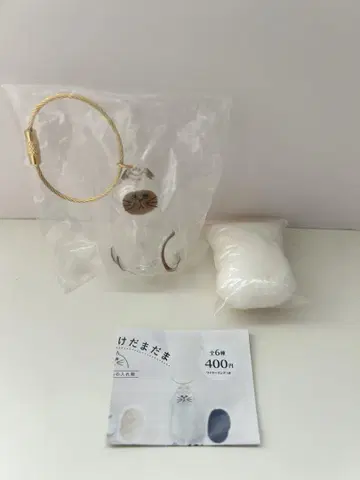 우리 아이의 털뭉치, 샤