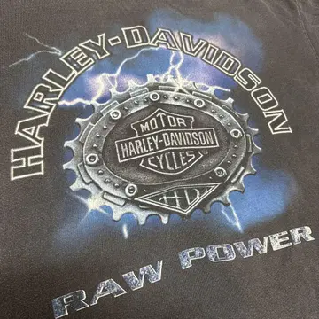 90s HARLEY DAVIDSON 라이트닝 샌들 블루 프레임