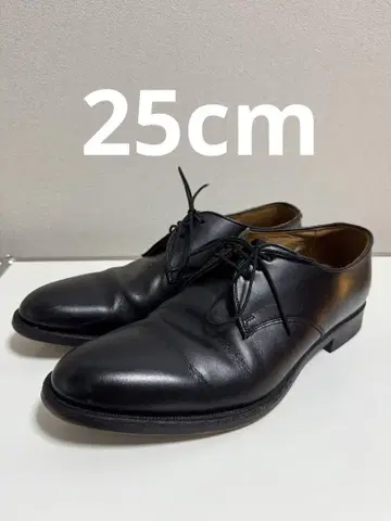 REGAL 가죽 신발 25cm