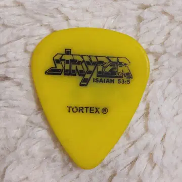 STRYPER 투어 피크