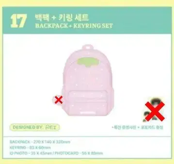 IVE 스카우트 레이