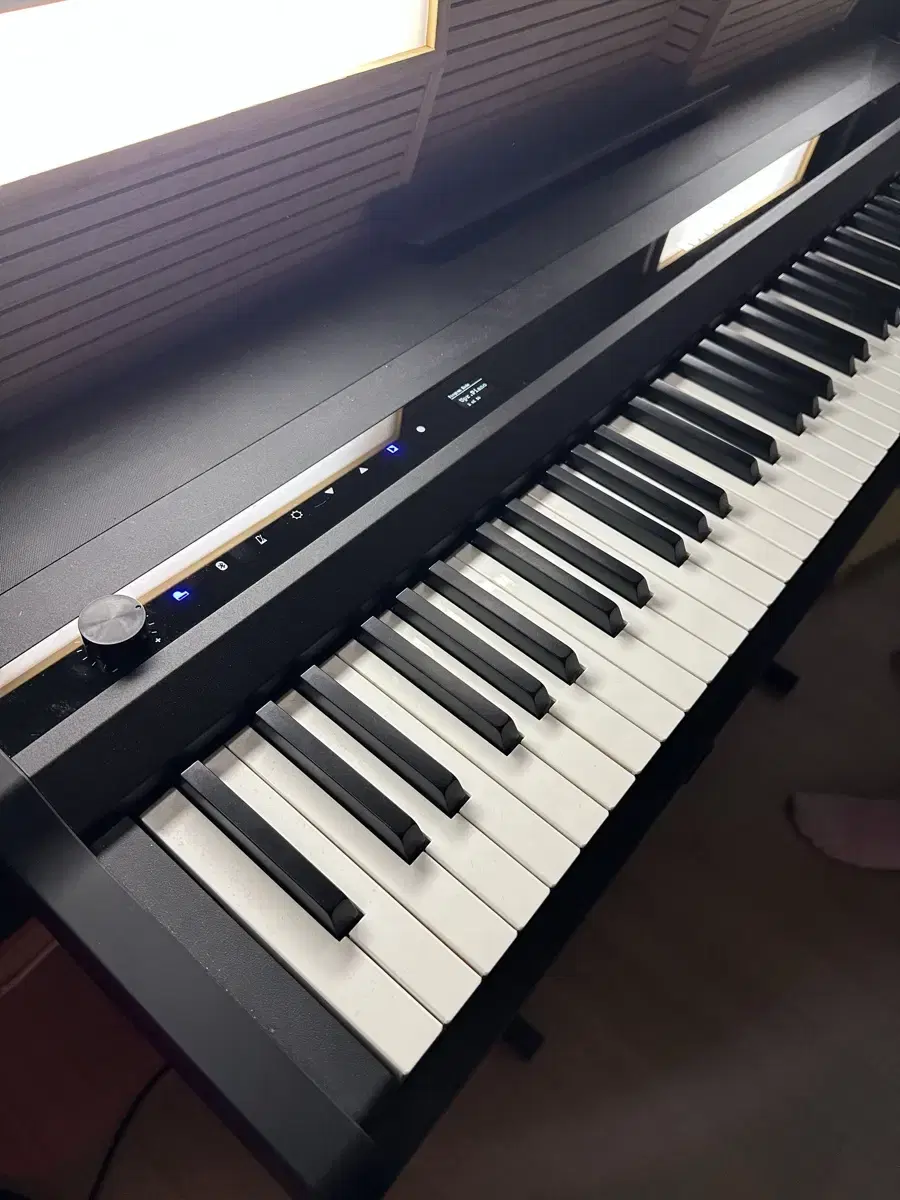 Kurzweil mps120 Digital Piano