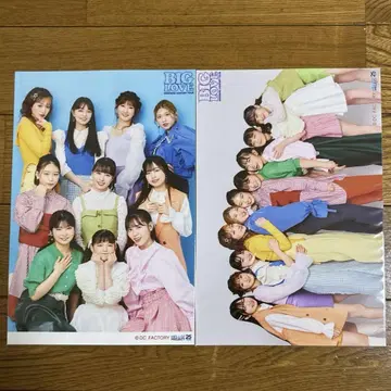 A5 와이드 사이즈 브로마이드 2장 세트 안주루무