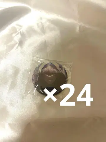프로세카 토노쿠로 아키토 비바스 그리 캔 24개 묶음 판매