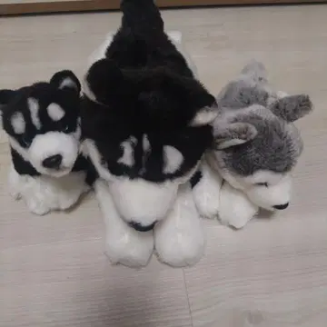 리얼 도그 컬렉션 레가로 허스키 세트