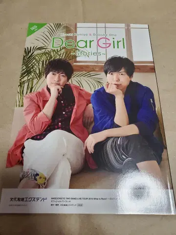 DGS 팜플렛 WHAT IS ROCK? 2015