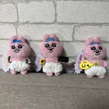 빤쮸토끼 3마리 모음