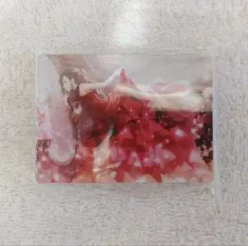 시로이시 안 노브라 노블 아트