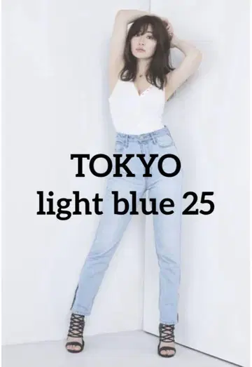 헤르립토 도쿄 하이 라이즈 진 25