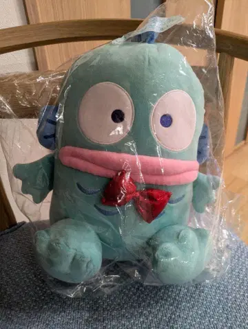 하피단부이 산리오 뽑기 한교동