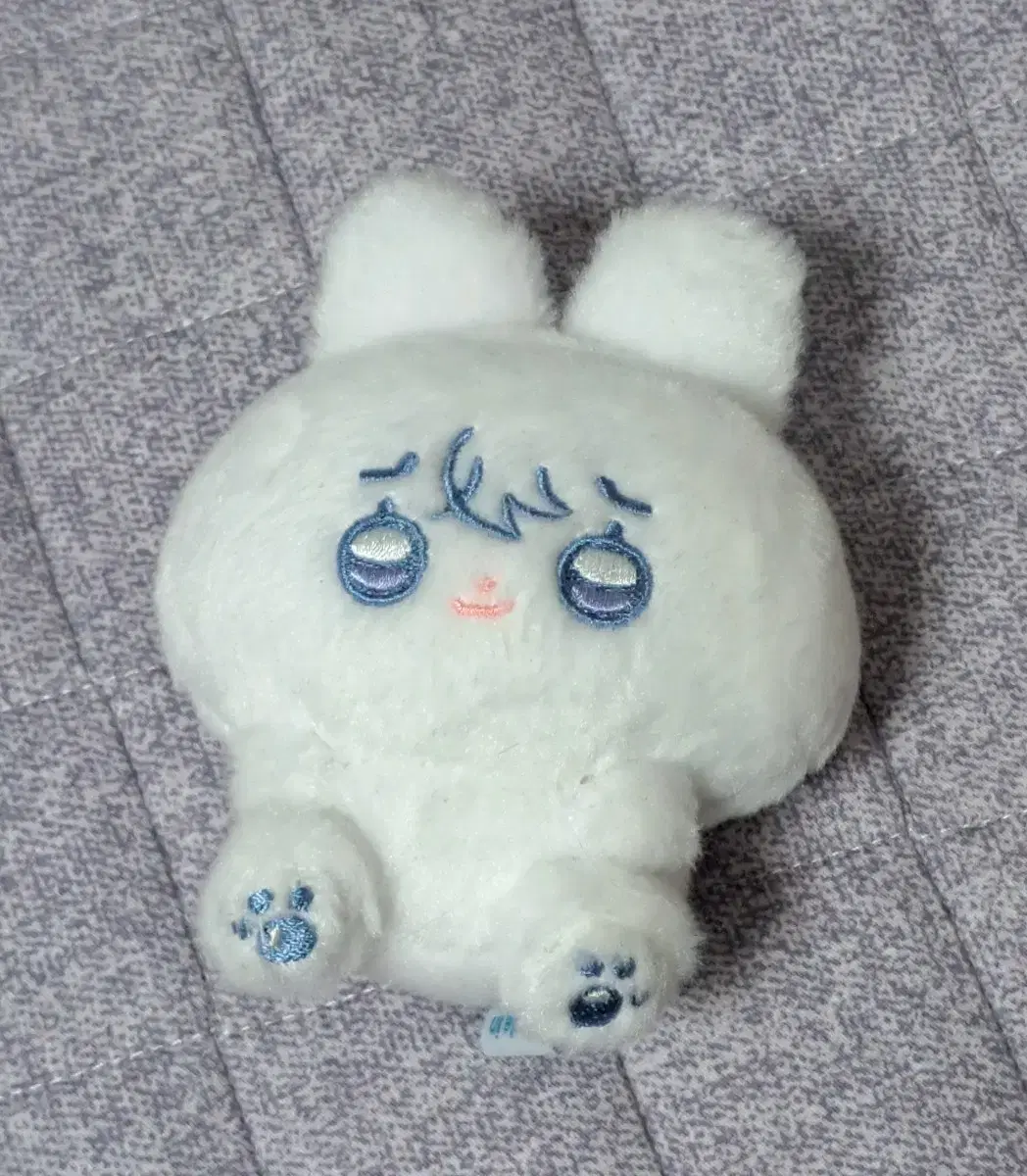 플레이브 비공식 인형 예쫑 예준 양도