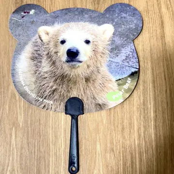 야기야마 북극곰 쌍둥이 부채
