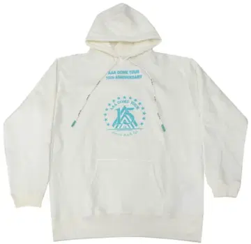 AAA DOME TOUR 15th 풀오버 후디 후드티