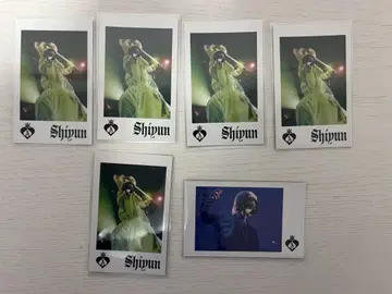 시욘군 포토 카드 세트
