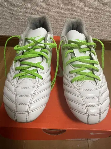 Mizuno 화이트/그린