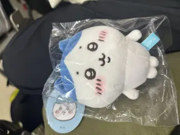치이카와 (먼작귀) 스포츠 컷의 하치와레