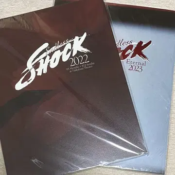 Endless SHOCK 팜플렛