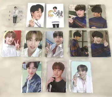 sf9 차니 트레이딩 카드
