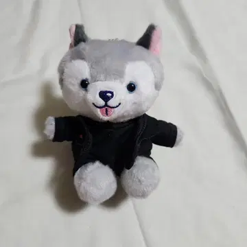 타오리견 봉제 인형