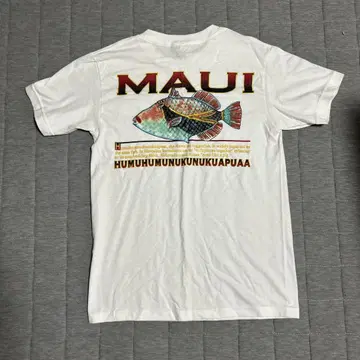 MAUI 그래픽 티셔츠, 물고기 패턴, 애니멀 프린트, 니카라과산