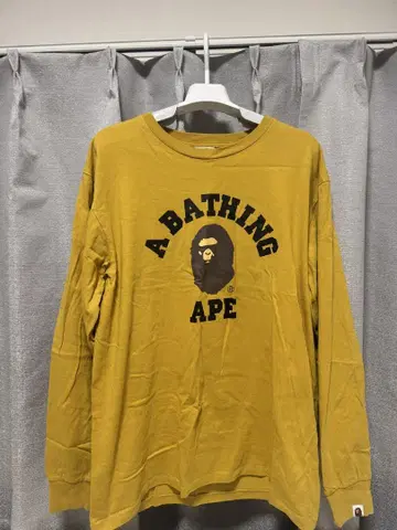APE 롱티