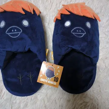 하이큐!! 룸 슈즈 슬리퍼 히나타