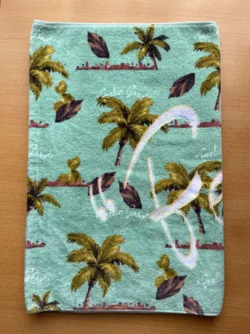 후지이 카제 Good Towel 민트 닛산 스타디움 라이브