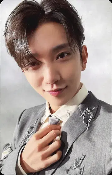 SEVENTEEN JOSHUA 소비기한 플래시 프라이스판 트레이딩 카드